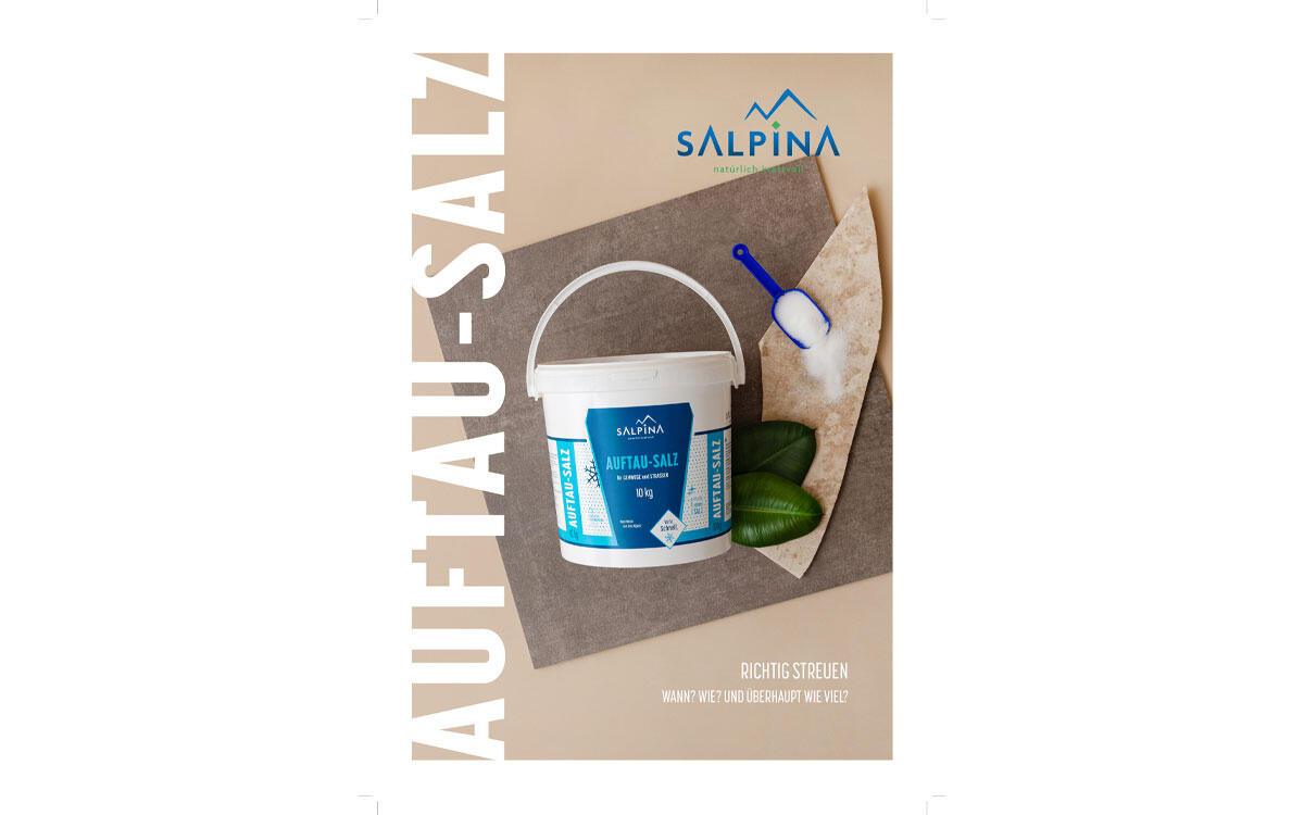 SALPINA Auftau-Salz Ebook